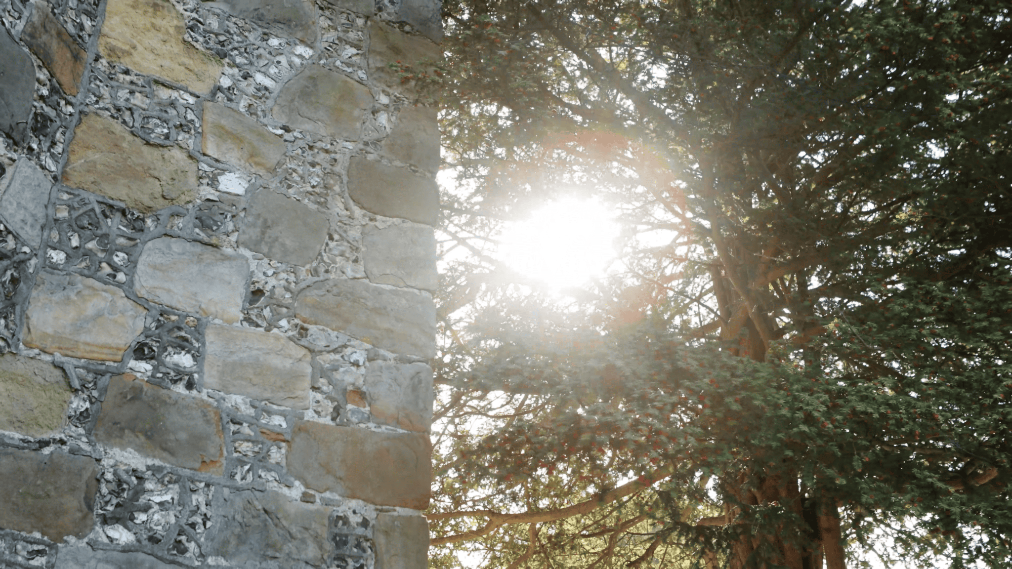 Surrey Wedding J+H - celebration