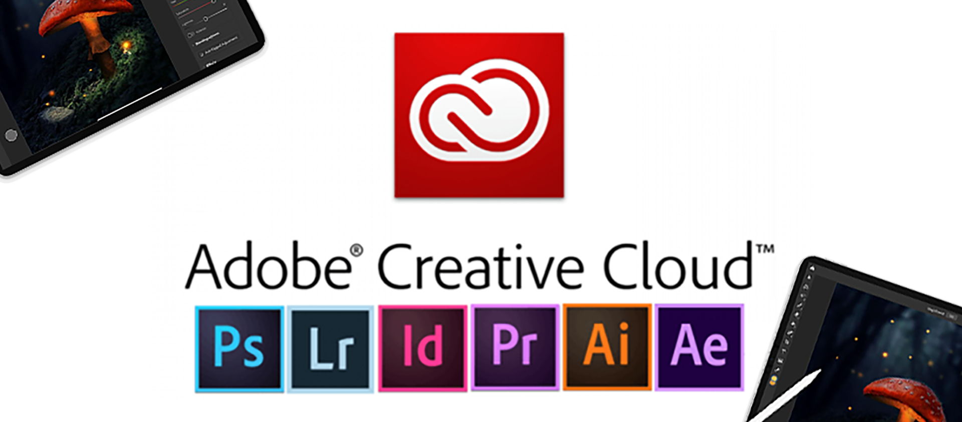 Adobe CC 2020 - Update?