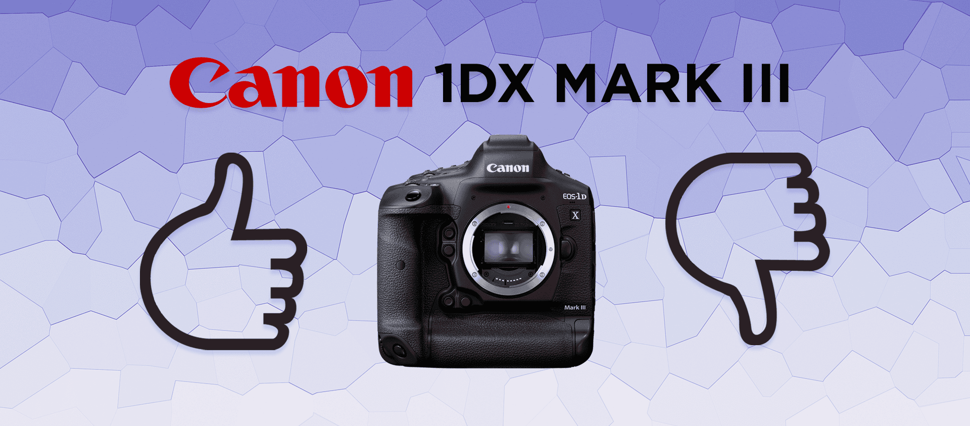 Canon 1DX Mark III - The World's Most Powerful DSLR